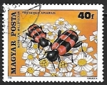 Stamps Hungary -  escarabajo ajedrezado