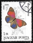 Stamps Hungary -  Mariposa