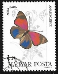 Stamps Hungary -  Mariposa