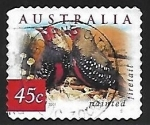 Stamps Australia -  Aves