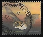 Stamps Austria -  Murcielago
