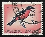Stamps South Africa -  Ave
