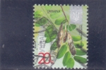 Stamps Ukraine -  Hoja