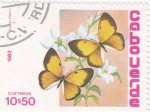 Stamps Cape Verde -  Mariposas
