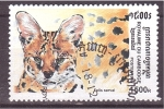 Stamps Cambodia -  serie- Felinos