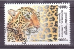 Stamps Cambodia -  serie- Felinos