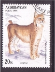 Stamps Azerbaijan -  serie- Felinos