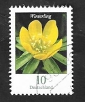 Stamps Germany -  3099 - Flor Winterling