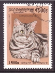 Stamps Cambodia -  serie- Gatos