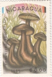 Stamps Nicaragua -  SETAS