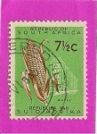 Stamps South Africa -  Maiz