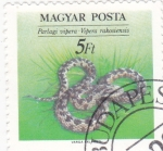 Stamps Hungary -  VIBORA