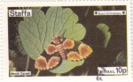 Stamps United Kingdom -  MARIPOSA