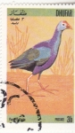 Stamps Oman -  AVE- PAVO