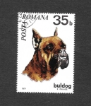 Stamps Romania -  2228 - Bulgod