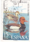 Stamps Spain -  PATO COLORADO (32)