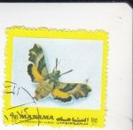 Stamps Bahrain -  MARIPOSA