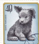 Stamps Hungary -  PERRO