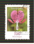 Stamps Germany -  INTERCAMBIO