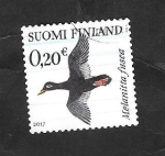 Stamps Finland -  Melanitta fusca