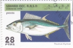 Stamps Morocco -  peces- thunnus thynnus