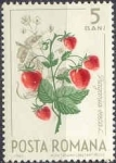 Stamps Romania -  Frutos del Bosque, Fresa de bosque (Fragaria vesca) y mariposa