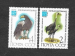 Stamps Russia -  5050-5051 - Aves