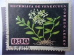 Stamps Venezuela -  Masdevallia Tovarensis - Epidendrum Difforme Jacq.