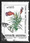 Stamps Argentina -  Clavel del aire