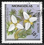 Stamps Mongolia -  Potaninia mongolica