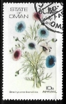 Stamps Oman -  Brachycome ibendifolia