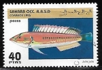 Stamps Morocco -  Peces
