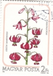 Stamps Hungary -  FLORES- MARTAGÓN 