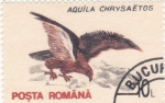 Stamps Romania -  AVE-AGUILA