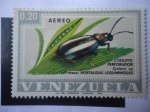 Stamps Venezuela -  Coquito Perforador (Systena Sp) Ataca a las Hortalizas y Leguminosas