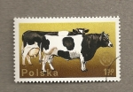 Stamps Poland -  Vaca