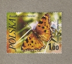 Stamps Poland -  Mariposa Nymphalis polychloros