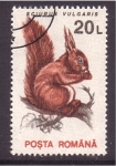 Stamps Romania -  serie- Fauna local