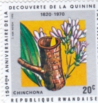 Stamps Rwanda -  150 NIVERSARIO DESCUBRIMIENTO DE LA QUININA 