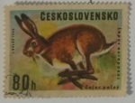 Stamps Czechoslovakia -  Chekoslovaquia 80 H