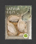 Stamps Latvia -  170 Aniv. de la creación del museo de ciencias naturales