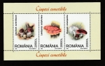 Stamps Romania -  Russula xeranpelina