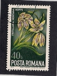 Stamps Romania -  Flor