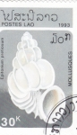 Stamps Laos -  CARACOLA