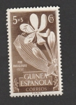 Stamps Spain -  Pro indígenas de Guinea