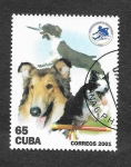 Stamps Cuba -  4141 - Federación Cubana de Deportes Caninos