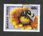 Stamps Hungary -  2626 - Insecto y Flor