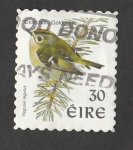 Stamps Ireland -  Ave Regulus regulus