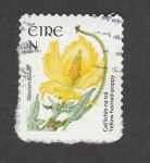 Stamps Ireland -  Amapola amarilla