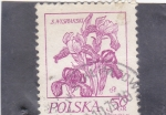 Stamps Poland -  FLORES-